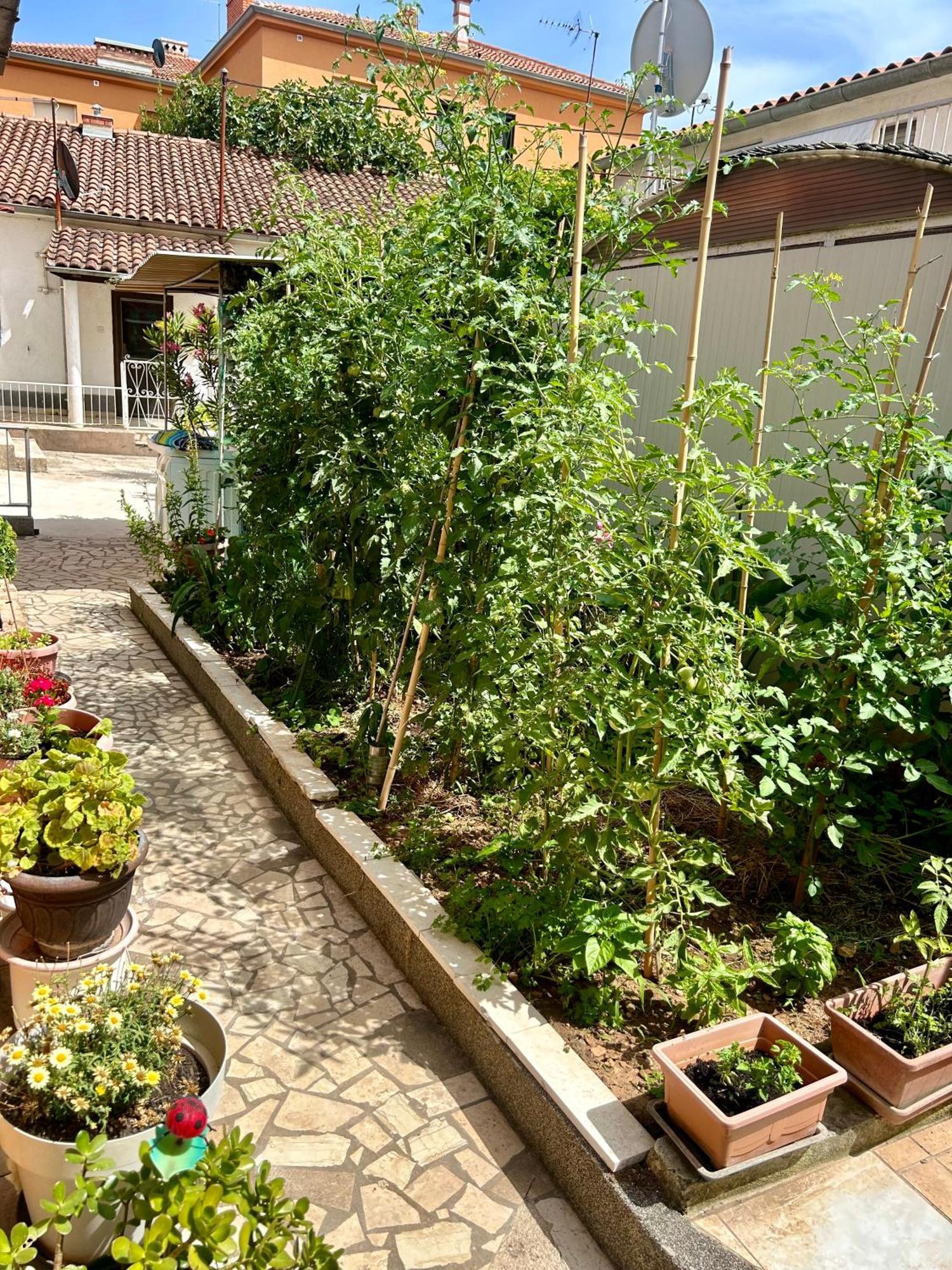 City Center With Balcony Privatunterkunft